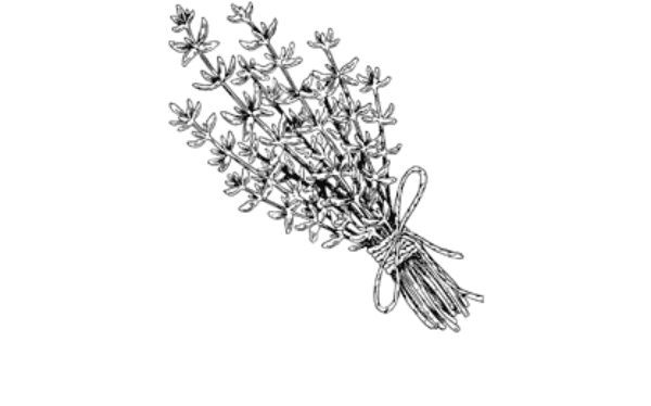 Einzelkräuter